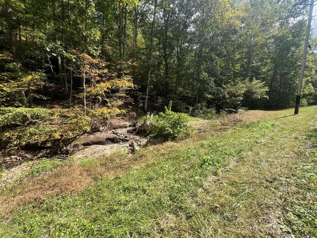 9.01 Acres of Land for Sale in South Bloomingville, Ohio - South Bloomingville, Ohio, 43138
