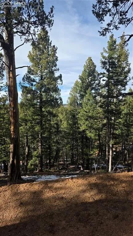 Lots & Land-Other in Woodland Park - Woodland Park, Colorado, 80863