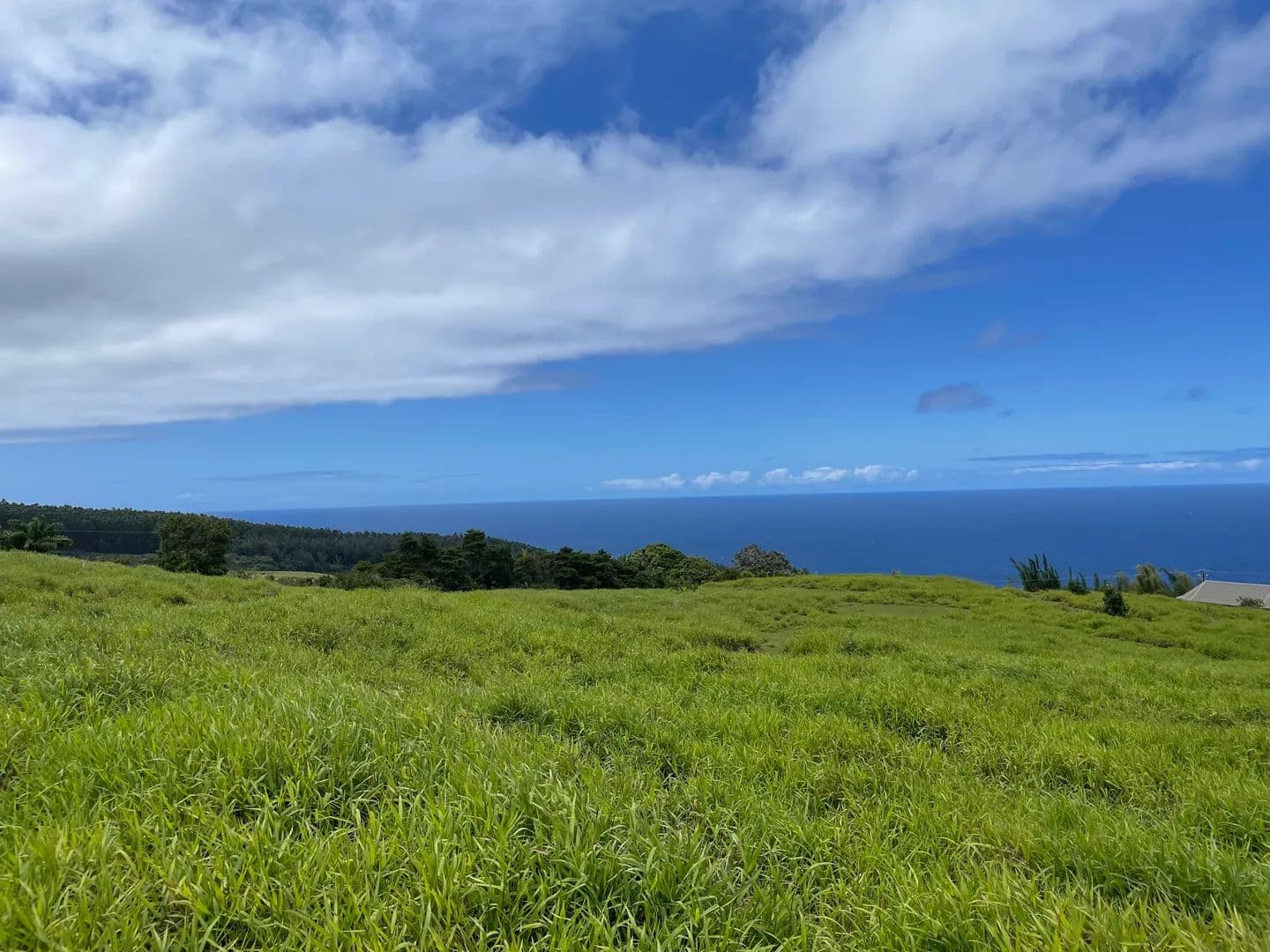 3.6 Acres of Land for Sale in Laupahoehoe, HI - Laupahoehoe, Hawaii, 96764