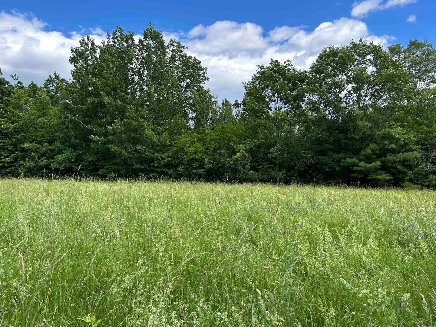 26.6 Acres of Land for Sale in Plainfield, NH - Plainfield, New Hampshire, 03781