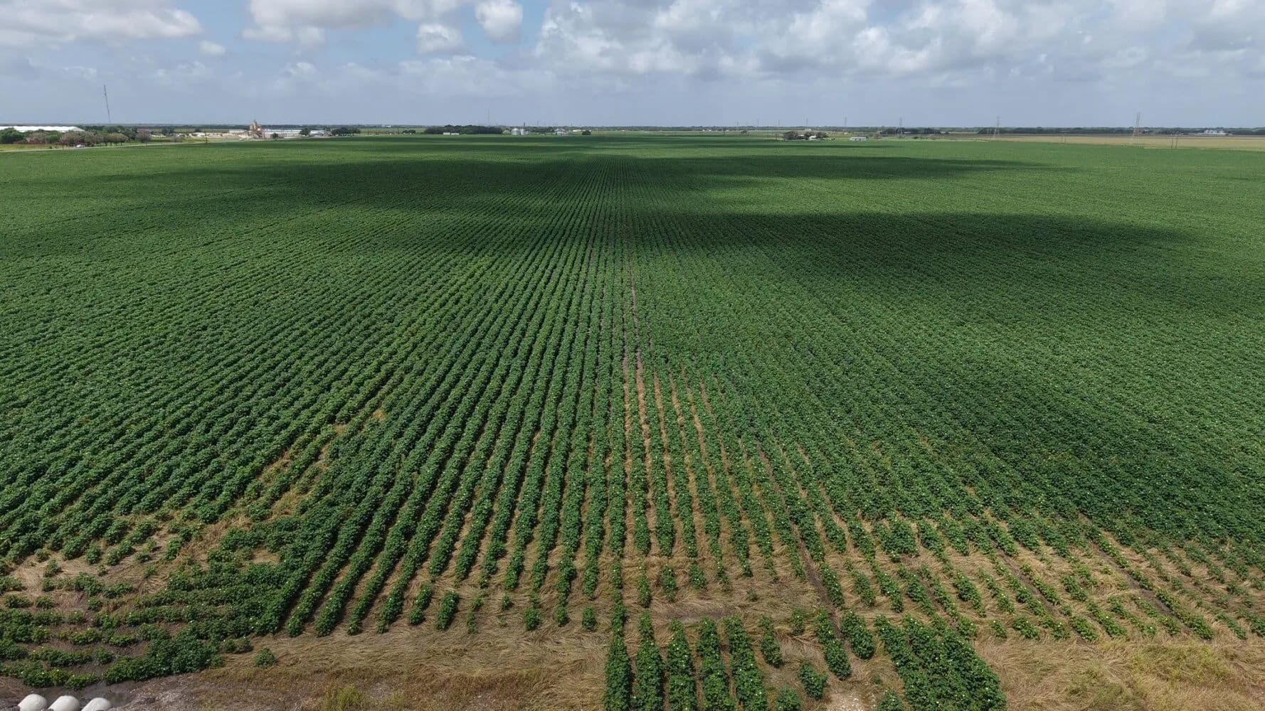 Highway 35 Development - Port Lavaca, Texas, 77979