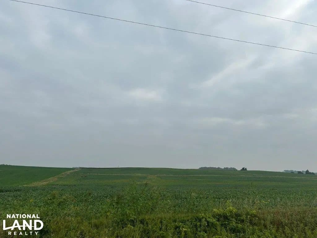 00 465th St, Fairfax (Parcel 2) - Fairfax, Minnesota, 55332