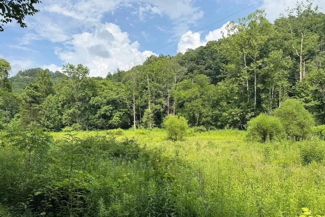 20.49 Acres of Land for Sale in Denniston, KY - Denniston, Kentucky, 40316