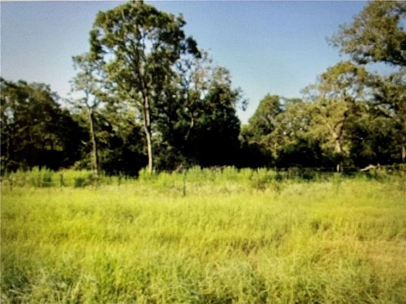 Property from TBD Landlocked FM 619 #Tract 602 - KW
