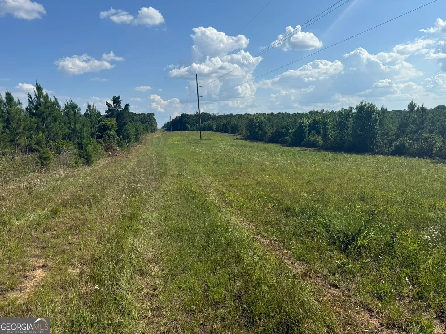 Property from 009 George Milling Rd - KW - Cuthbert, Georgia, 39840