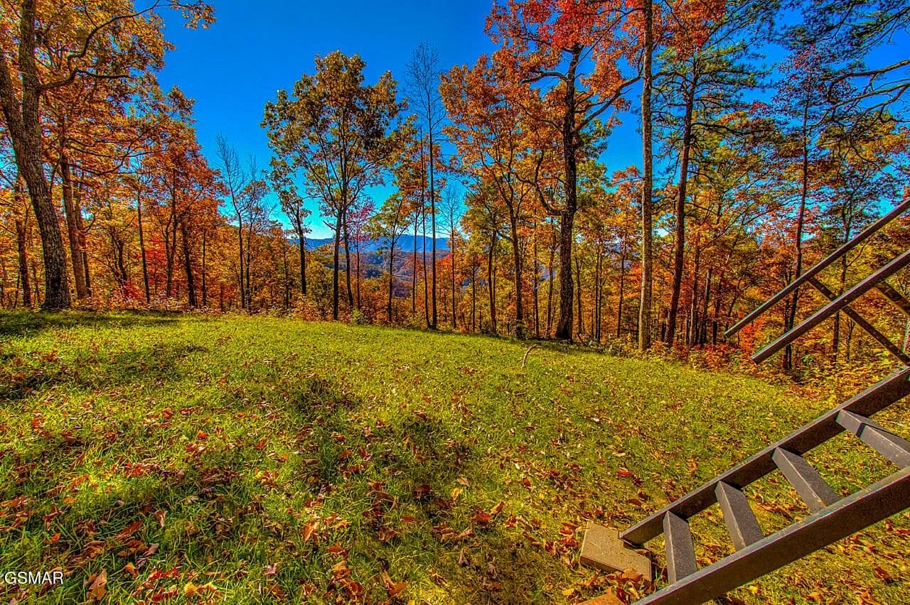 332.4 Acres of Land for Sale in Walland, TN - Walland, Tennessee, 37886