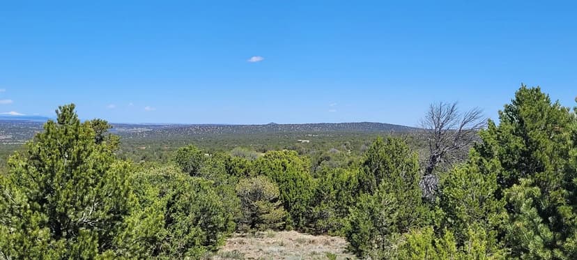 99 River Ridge Ranch 4, Walsenburg, CO 81089