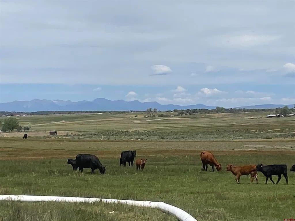 Property from 346 County Road 321 - KW - Ignacio, Colorado, 81137