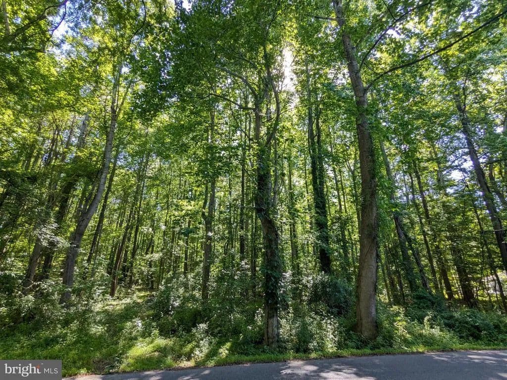 3 Acres of Land for Sale in Prince Frederick, Maryland - Prince Frederick, Maryland, 20678