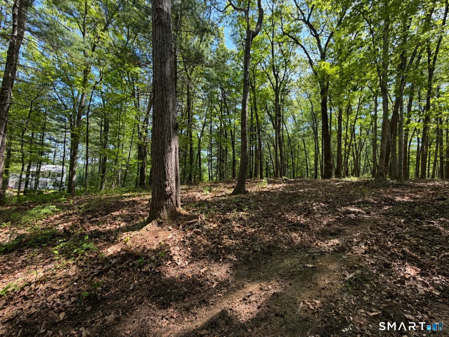 Property from 406 Sabin Street - KW - Putnam, Connecticut, 6260