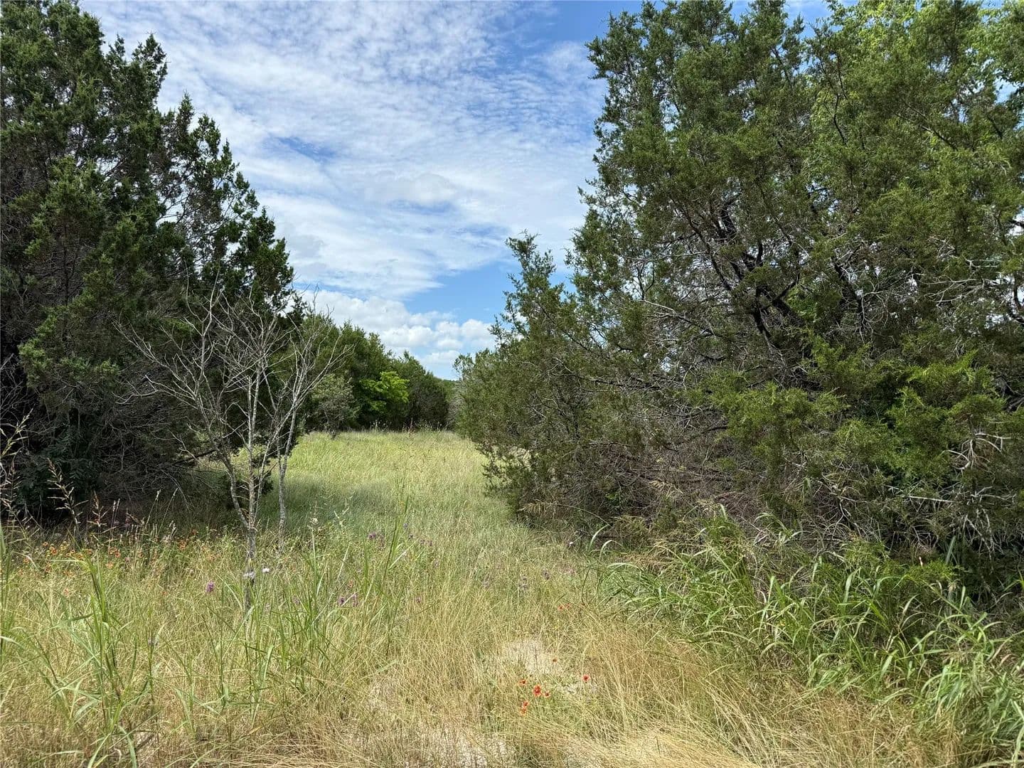 Property from 1451 Lakeview Court - KW - Cleburne, Texas, 76033