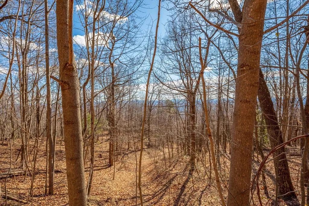 5.09 Acres of Land for Sale in Fancy Gap, VA - Fancy Gap, Virginia, 24328