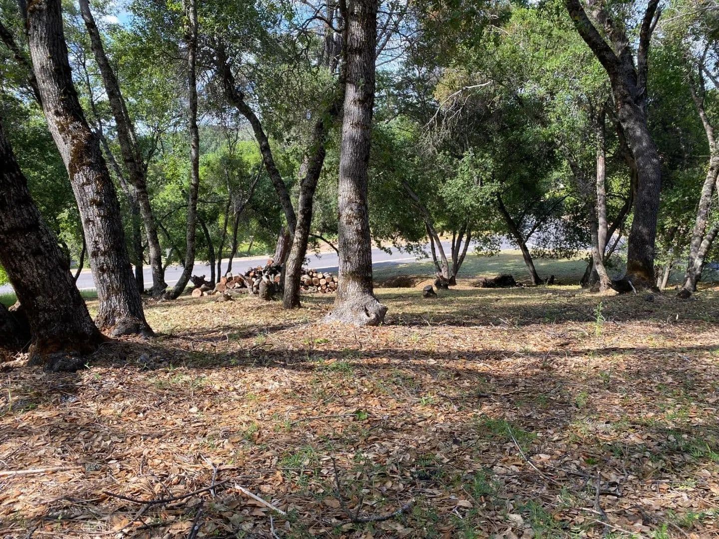 Lots & Land-Other in Angels Camp - Angels Camp, California, 95222