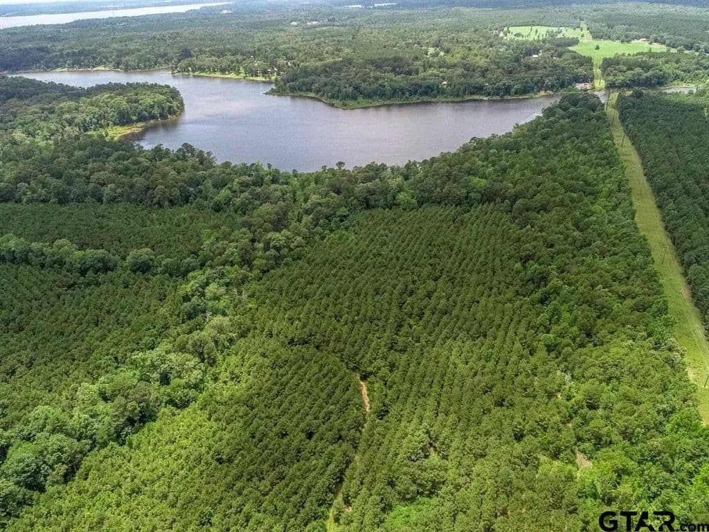 118.66 Acres of Land for Sale in Avinger, Texas - Avinger, Texas, 75630