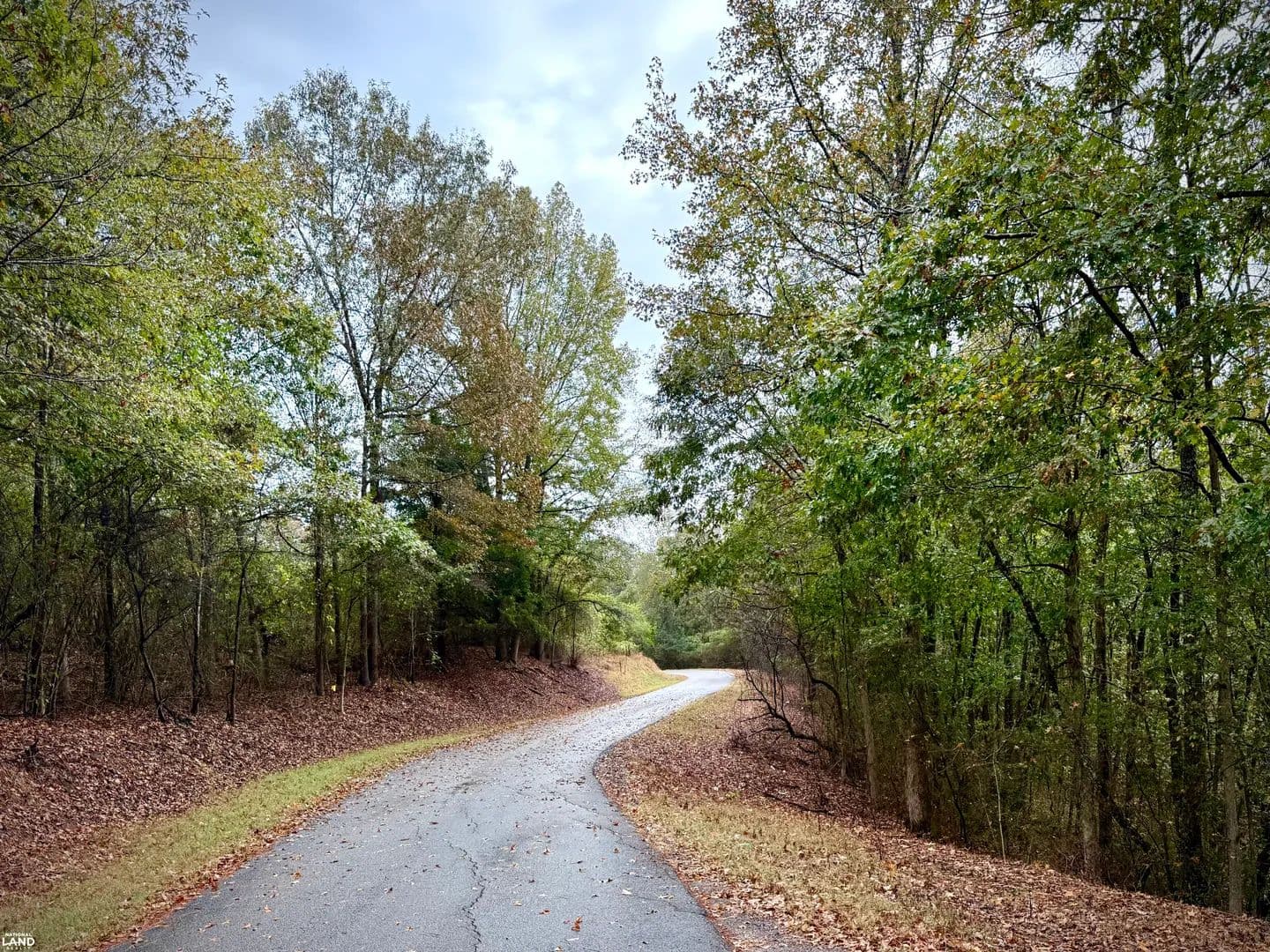 Scott Road/Old Bankhead Hwy Homestead Tract - Sipsey, Alabama, 35584