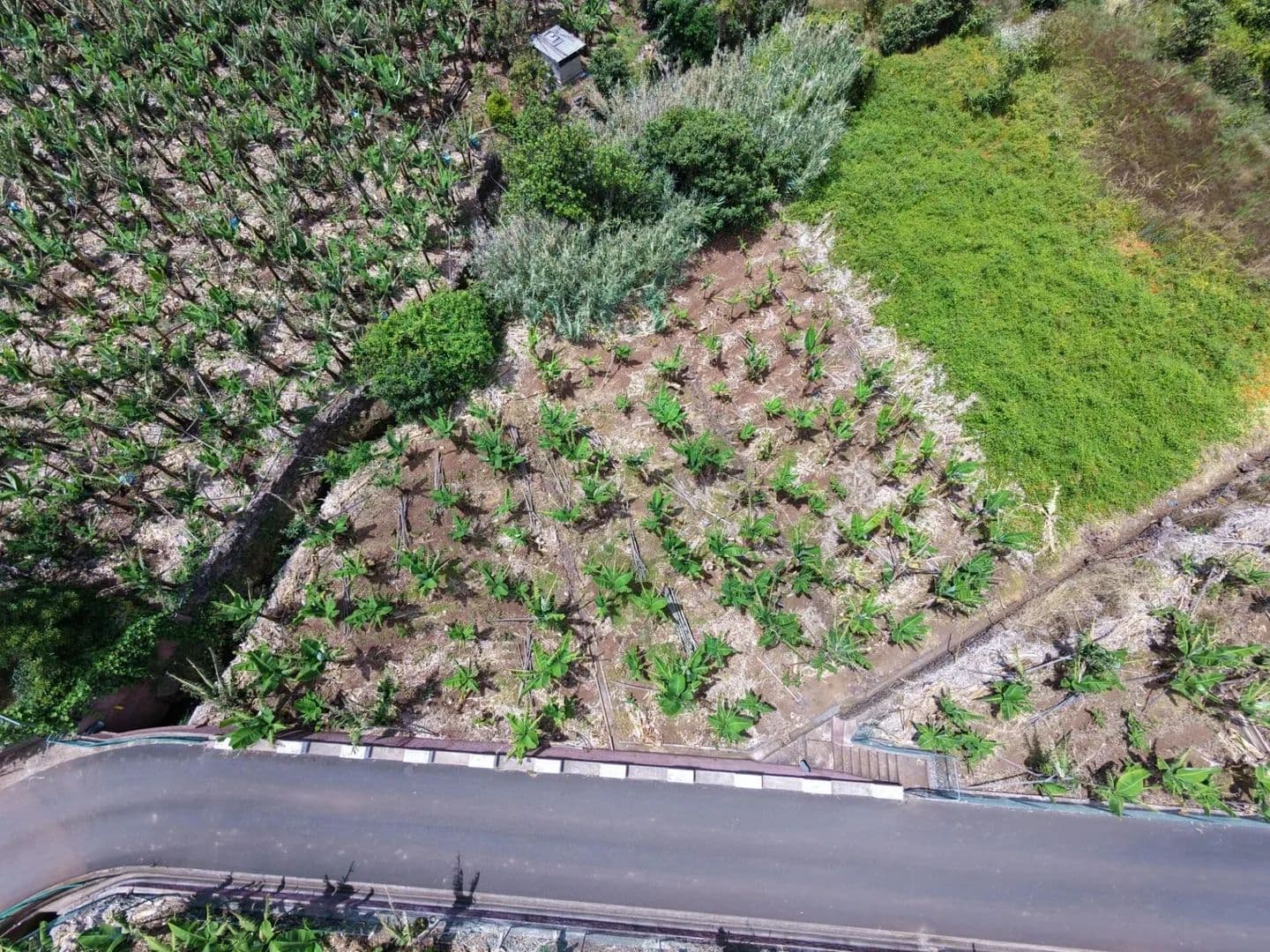 779 Acres of Land for Sale in Arco da Calheta, Calheta (Madeira) - land for sale