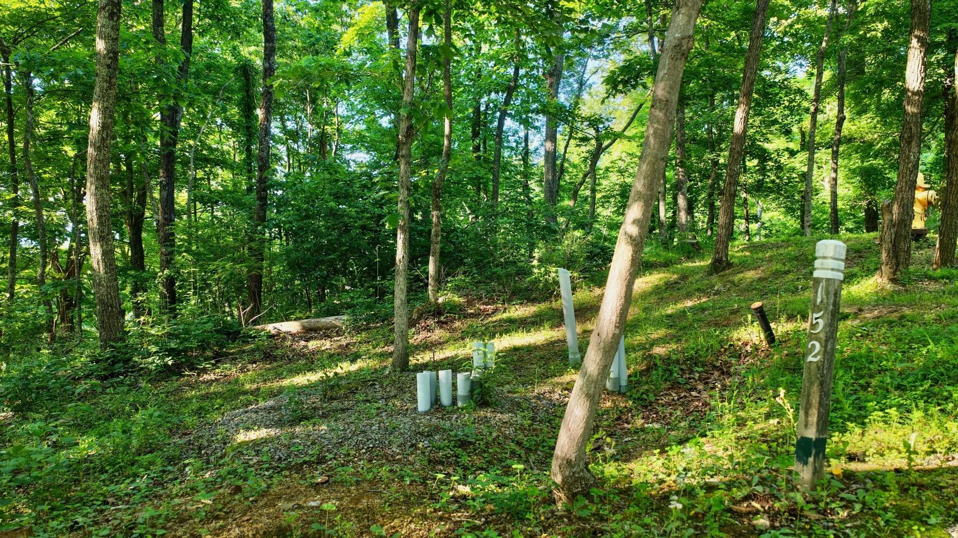 Property from Withrow Landing - KW - Caldwell, West Virginia, 24925