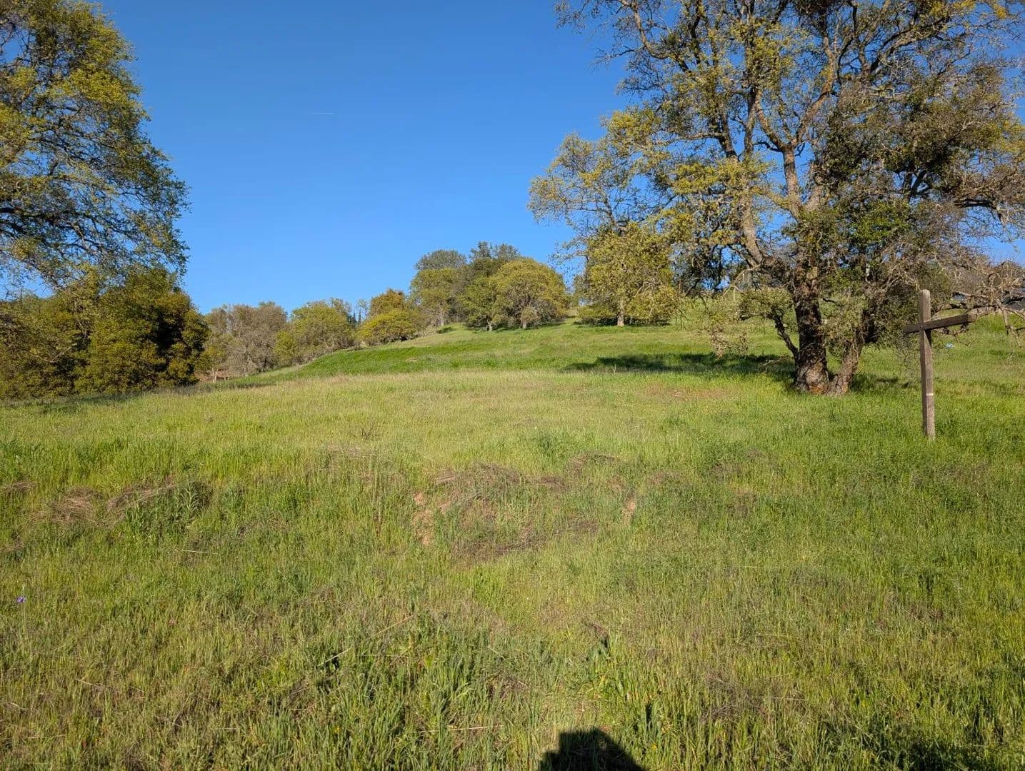 Property from 3669 Little John Road - KW - Copperopolis, California, 95228