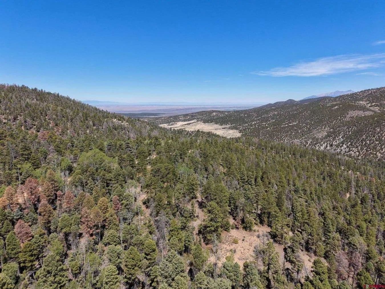 6031 Bruce Road - Fort Garland, Colorado, 81133