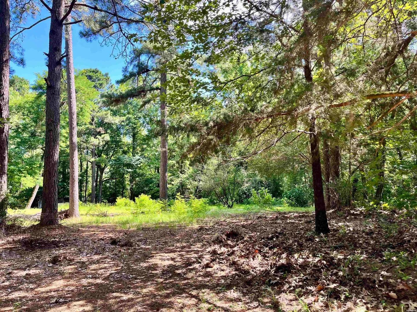 40 Acres of Land for Sale in Sparkman, AR - Sparkman, Arkansas, 71763