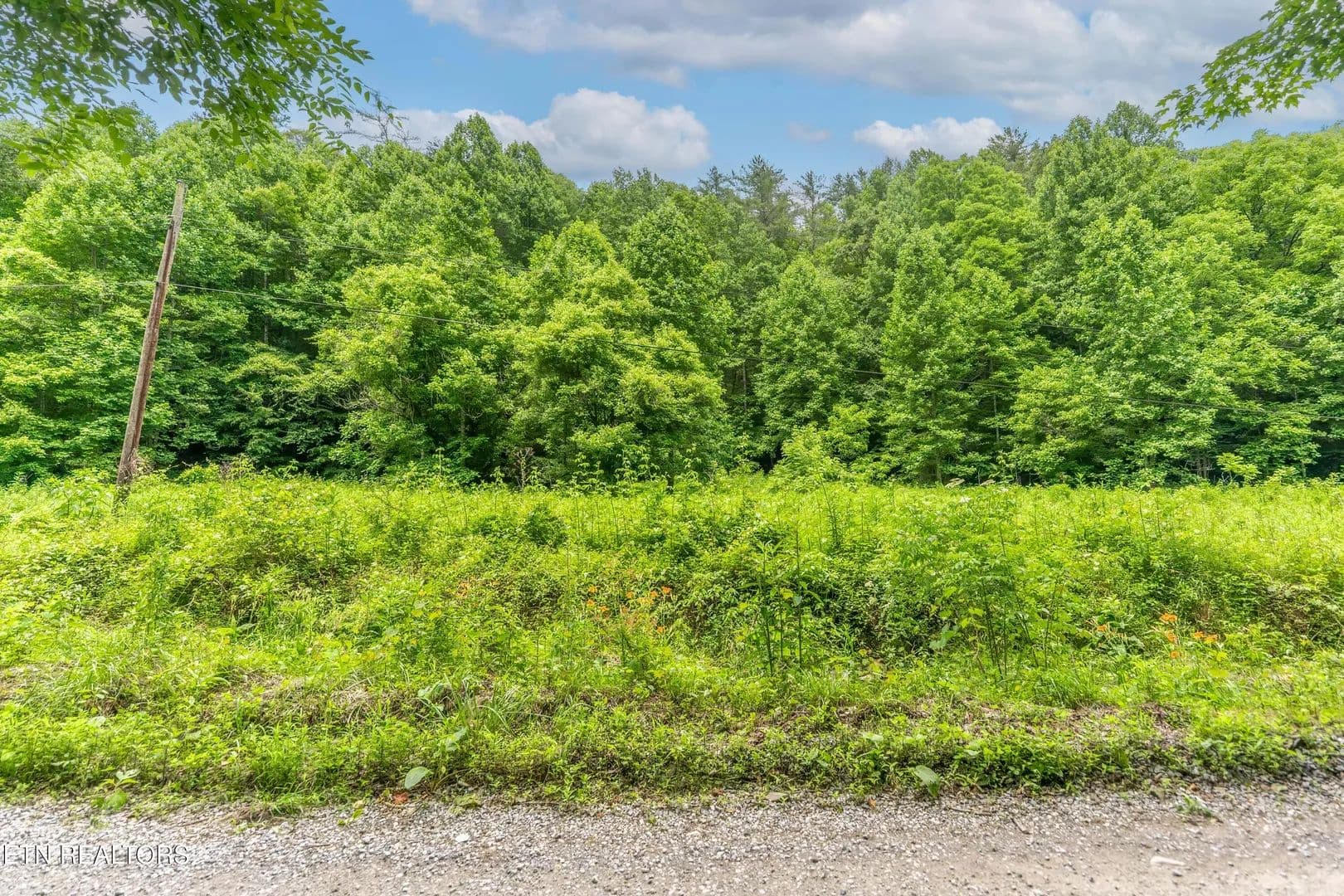 Property from Johns Creek Rd - KW - Del Rio, Tennessee, 37727