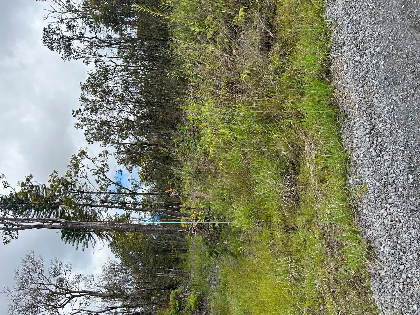 3 Acres of Land for Sale in Volcano, Hawaii - Volcano, Hawaii, 96785