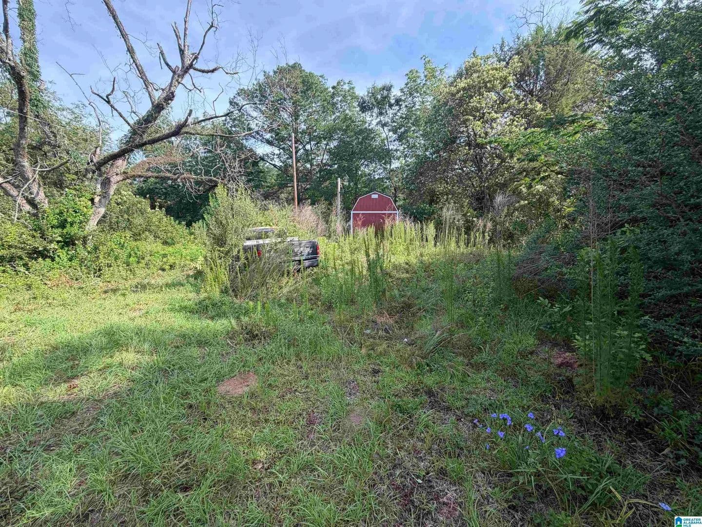 Property from 6355 GRANGE FORGE ROAD #1 - KW - Red Level, Alabama, 36474