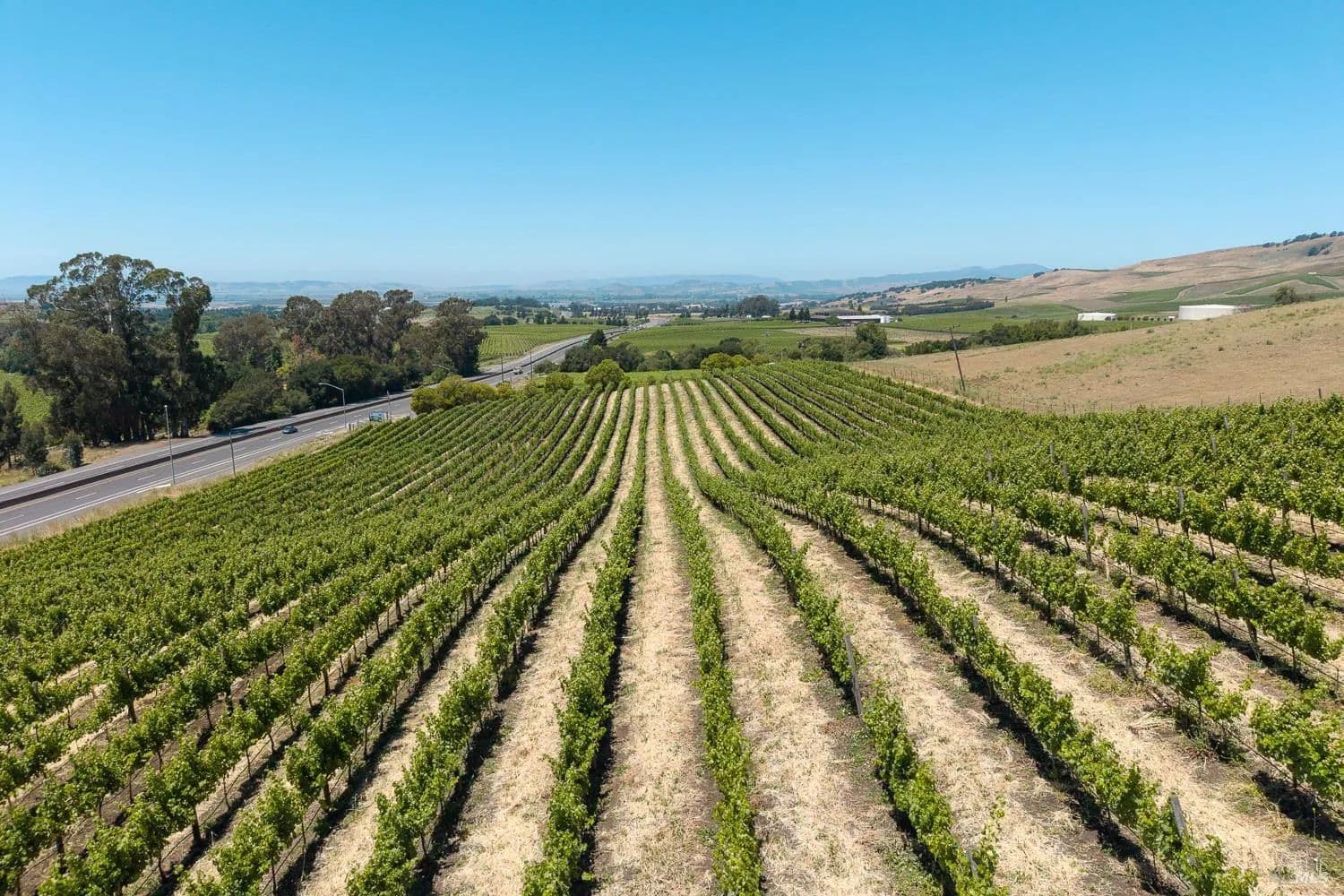 9.49 Acres of Land for Sale in Napa, California - Napa, California, 94558