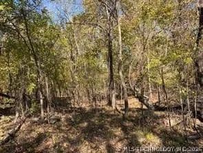 Property from 687 Road - KW - Locust Grove, Oklahoma, 74352