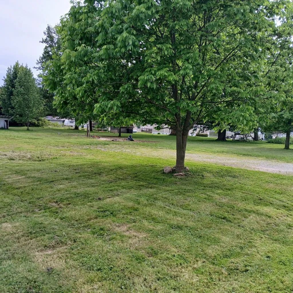 Property from Gifford St - KW - Greenwich, Ohio, 44837