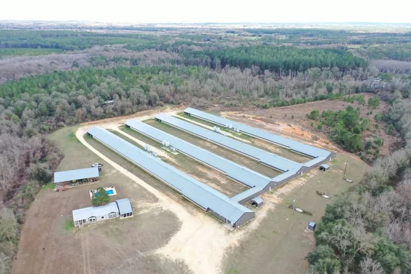 Shaken Breeder Farm – Four House Farm in Geneva County, Alabama
