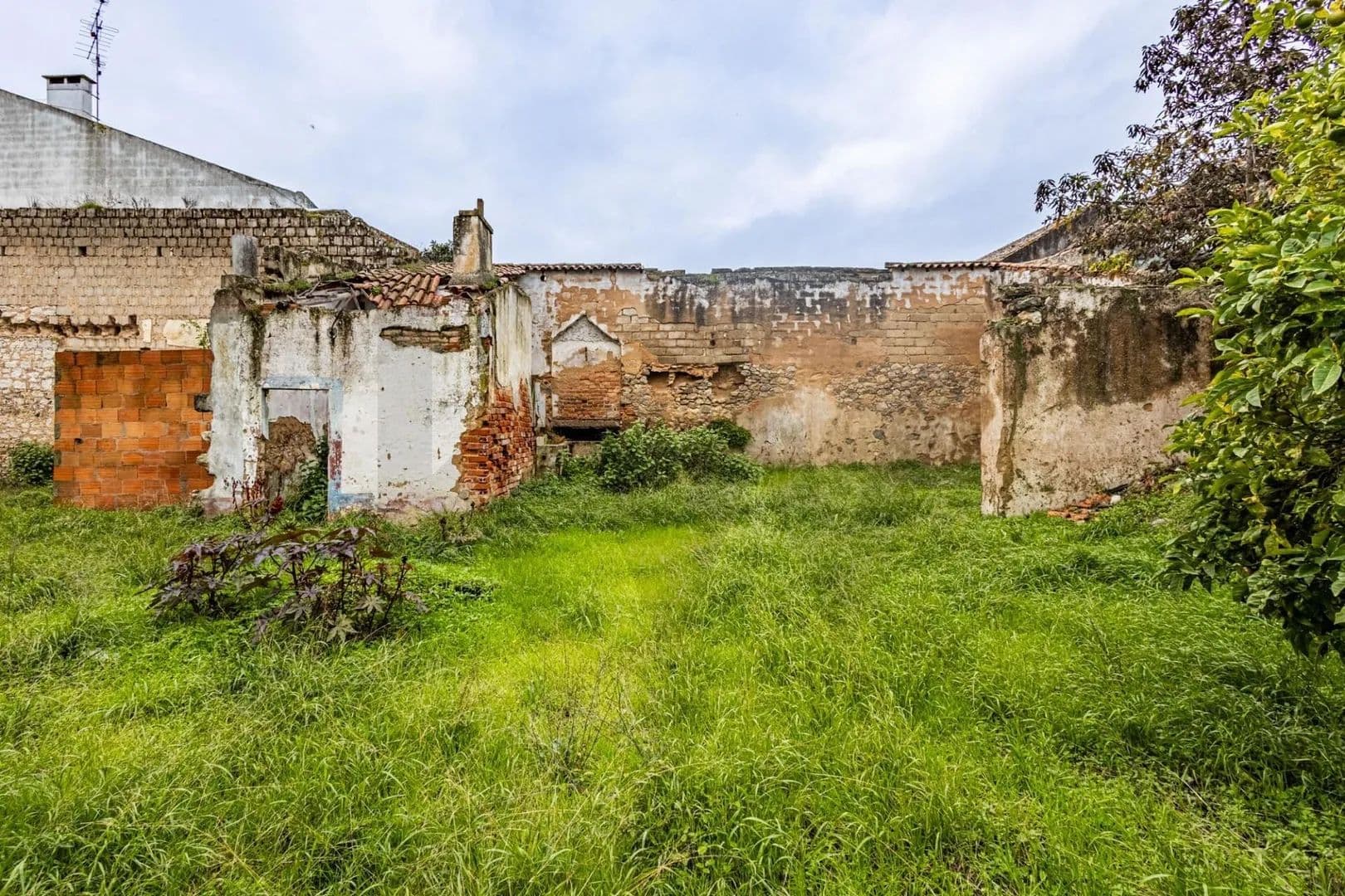 766 Acres of Land for Sale in Cartaxo e Vale da Pinta, Cartaxo - land for sale