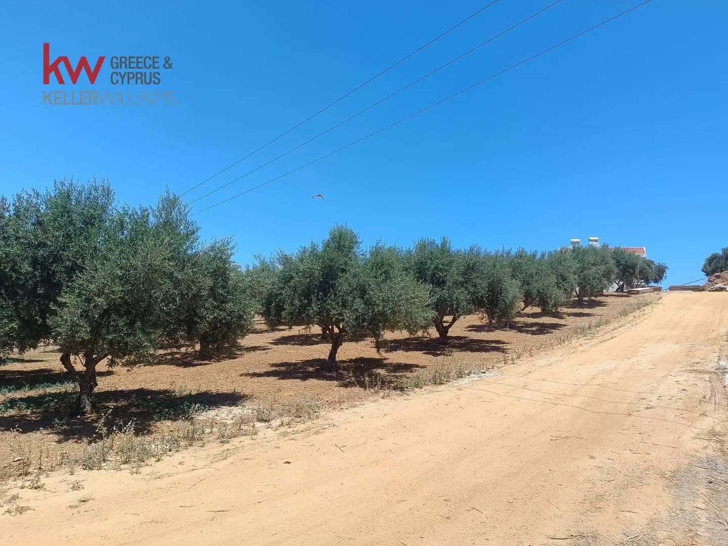 Land for Sale in Nea Kidonia, Chania Prefecture - Greece