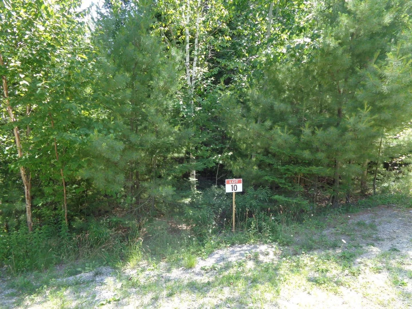 Land -Single Family Acreage in Franklin - land for sale