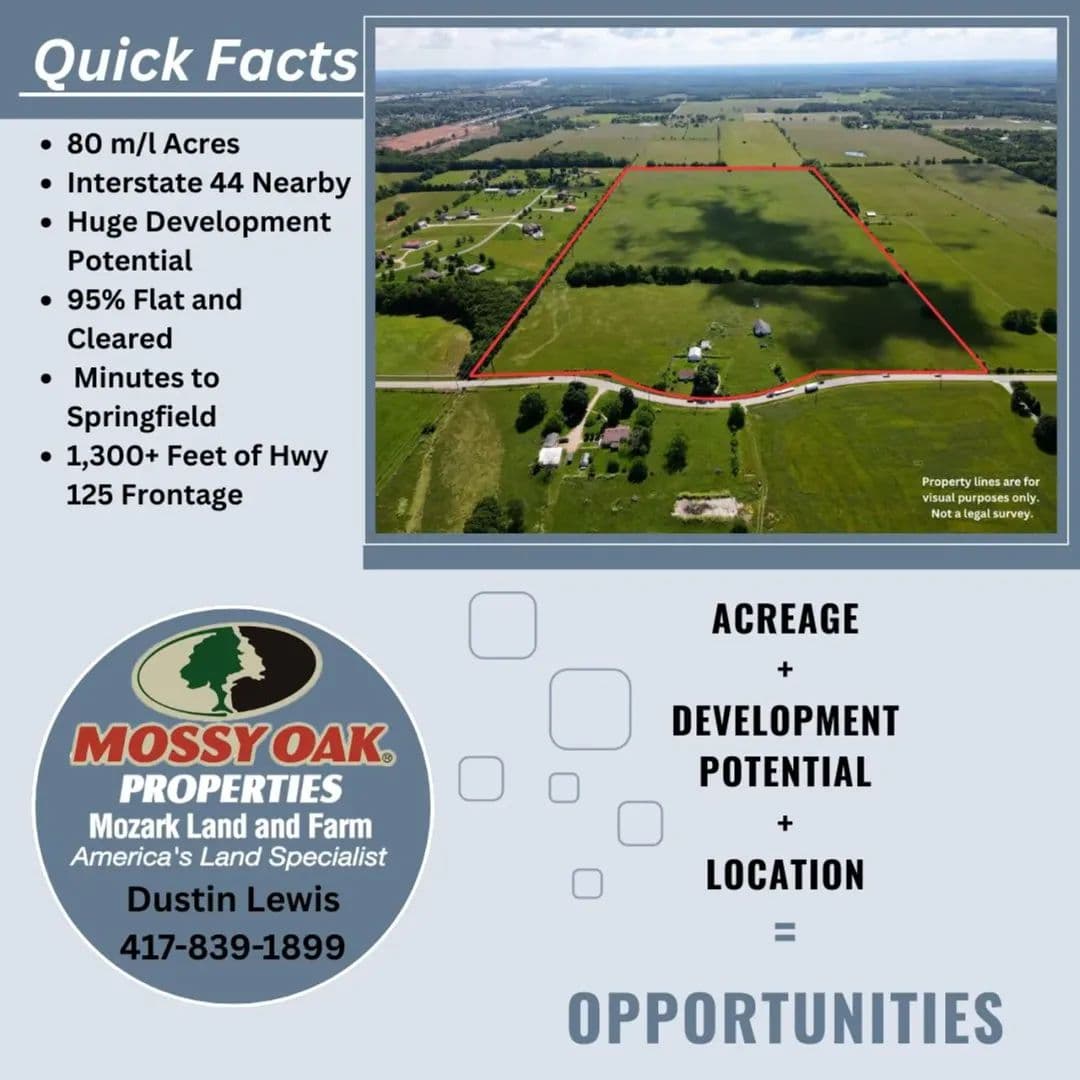 Prime Location Hwy Front 80 Acres - Strafford, Missouri, 65757