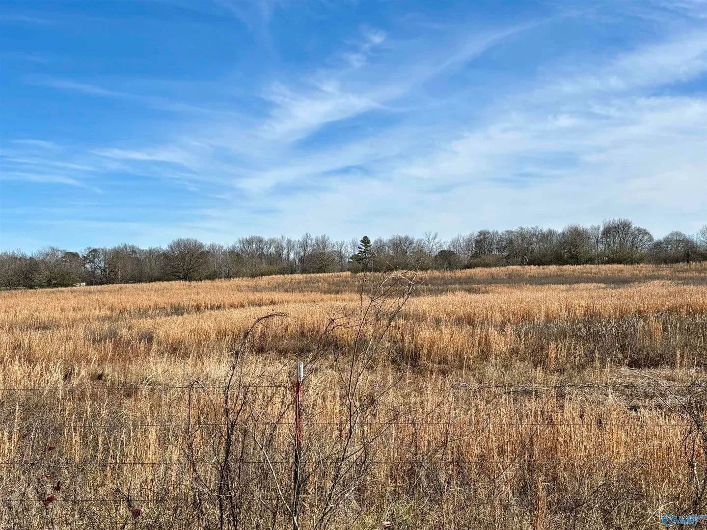 Property from 1.5 ac Lot 5 Strange Road - KW - Horton, Alabama, 35980