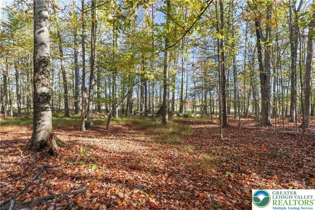 Property from Cygnus Road - KW - Lake Ariel, Pennsylvania, 18436