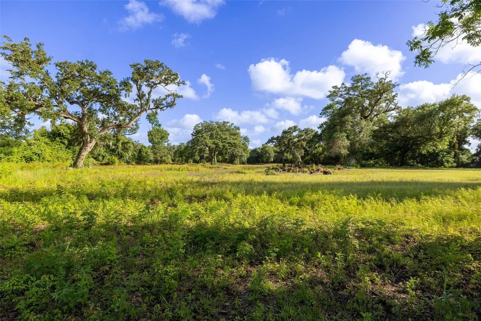 8.89 Acres of Land for Sale in Sweeny, TX - Sweeny, Texas, 77480