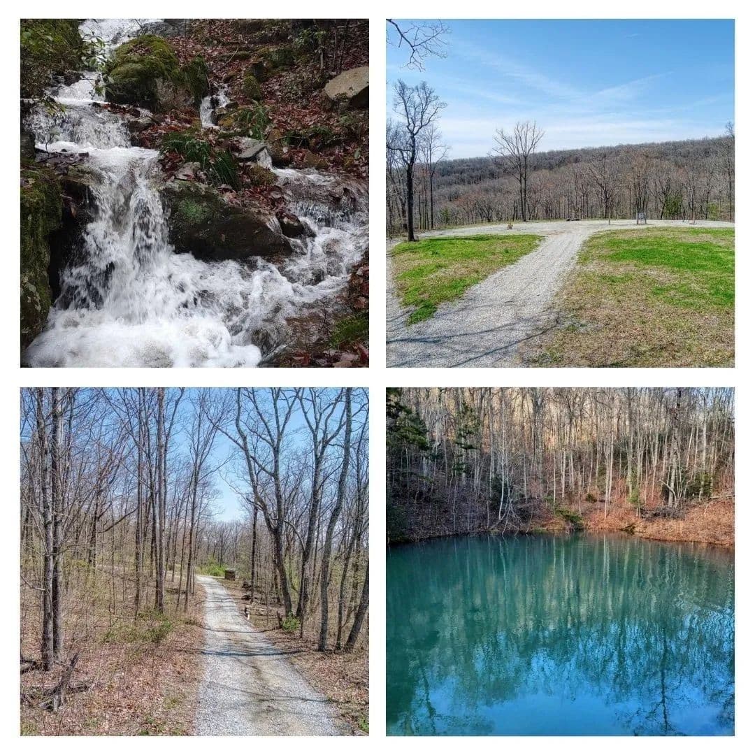 Property from 74 Black Cat Trl - KW - Rockwood, Tennessee, 37854