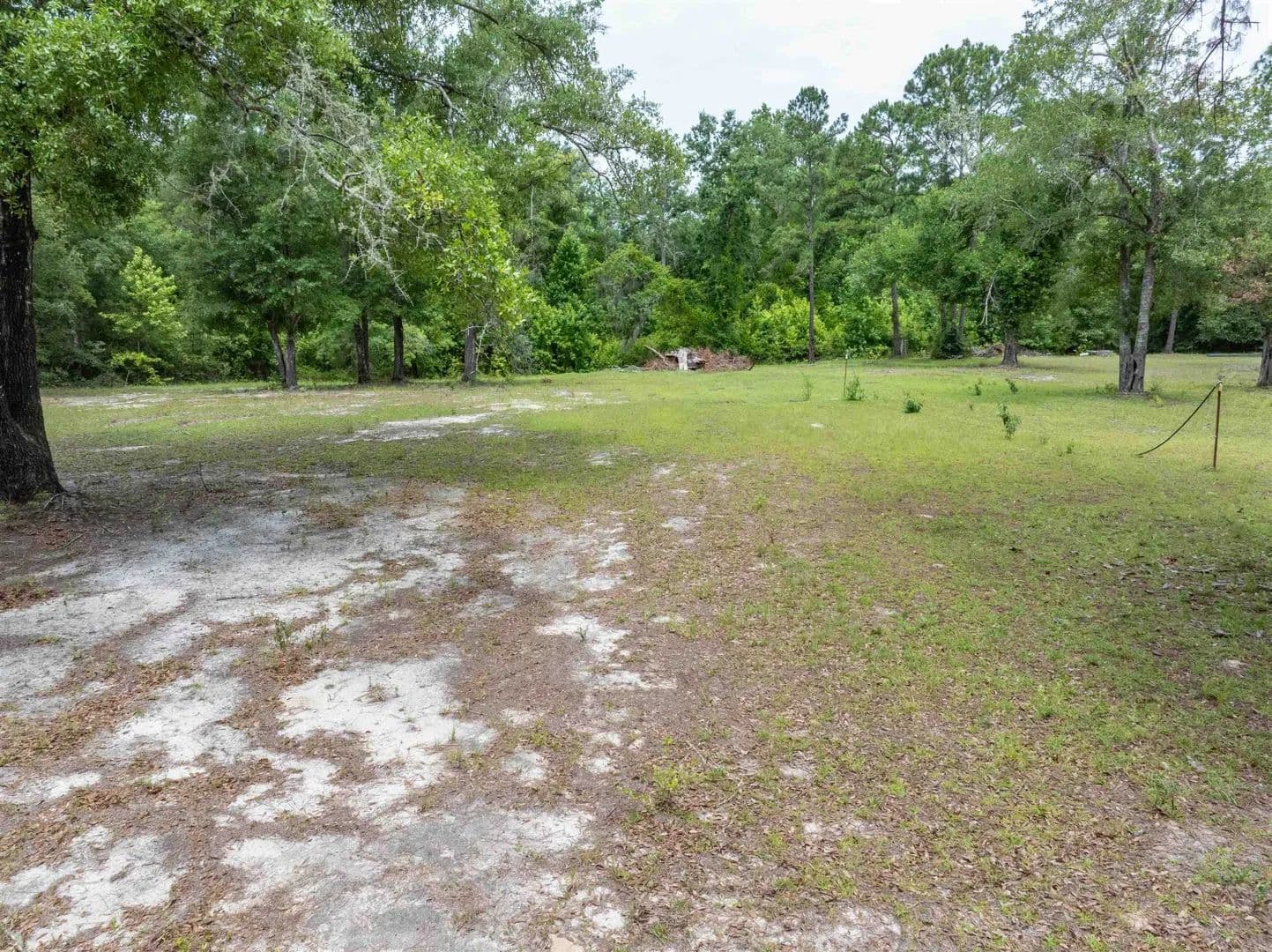 Property from 559 NE Pentas Street - KW - Madison, Florida, 32340
