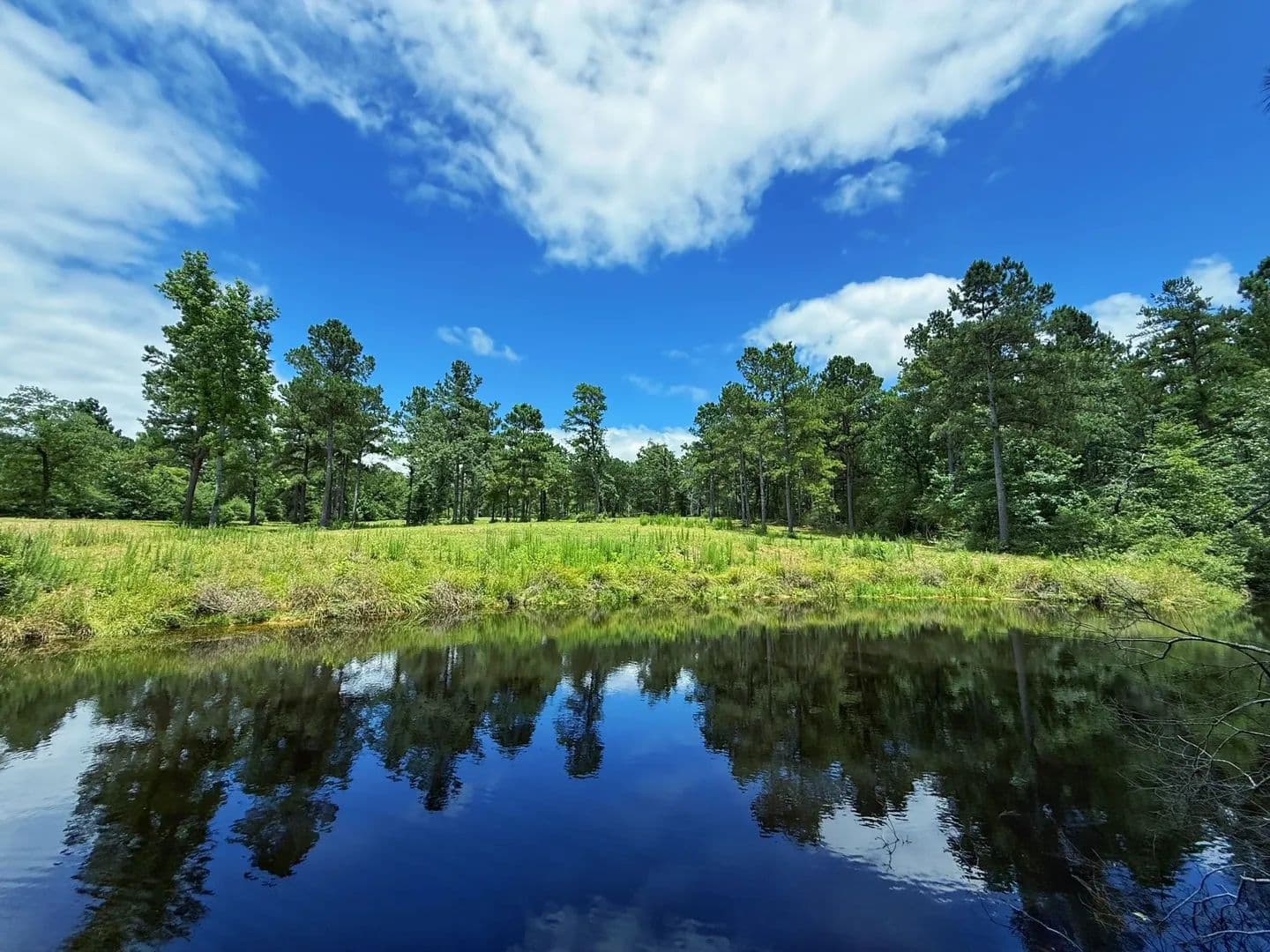 70 Acres of Land for Sale in Oakwood, Texas - Oakwood, Texas, 75855