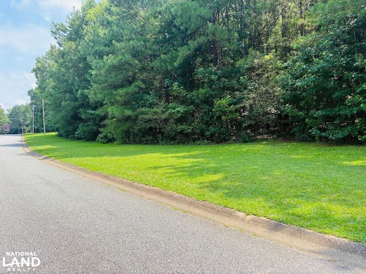 Mapledale Corner Estate - Sharpsburg, Georgia, 30277