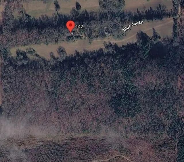 Vacant Land (10+ Acres) in Cove - Cove, Arkansas, 71937