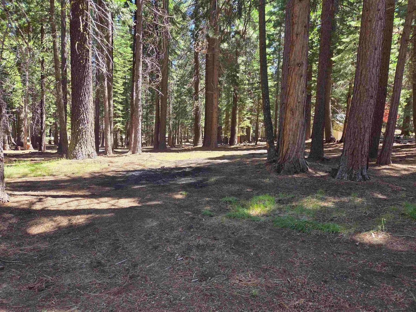 0.38 Acres of Land for Sale in Lake Almanor West, California - Lake Almanor West, California, 96020