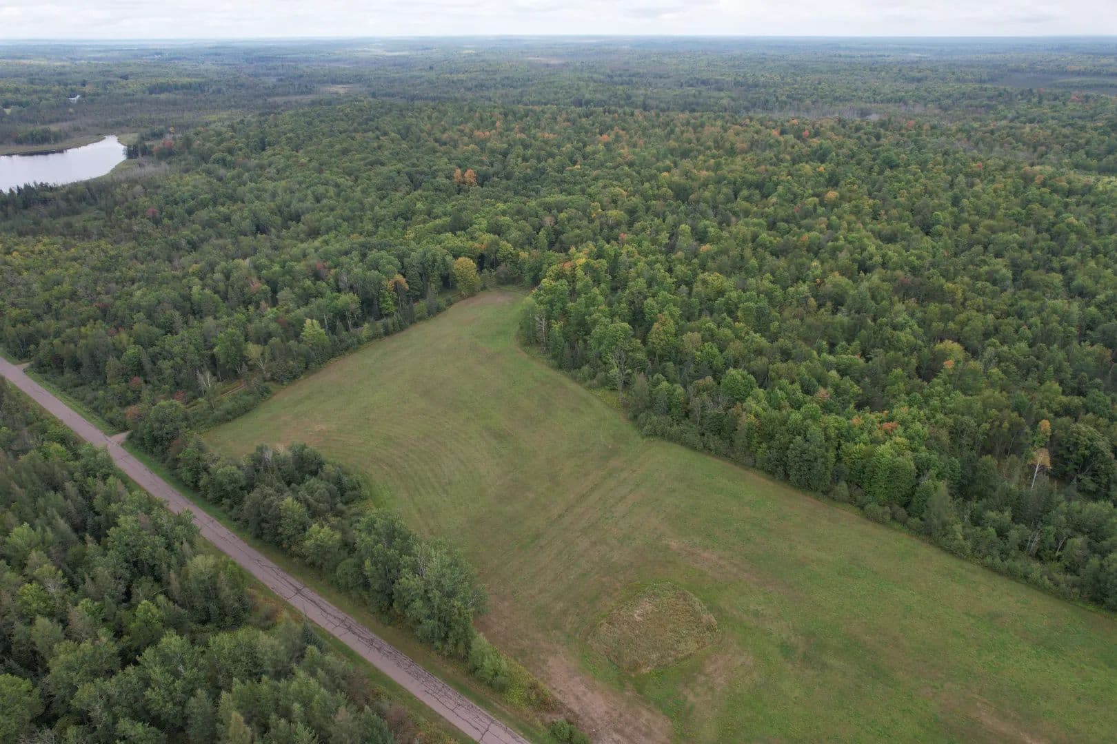 40 Wooded Acres of Land for Sale in Butternut, Wisconsin near National Forest - land for sale