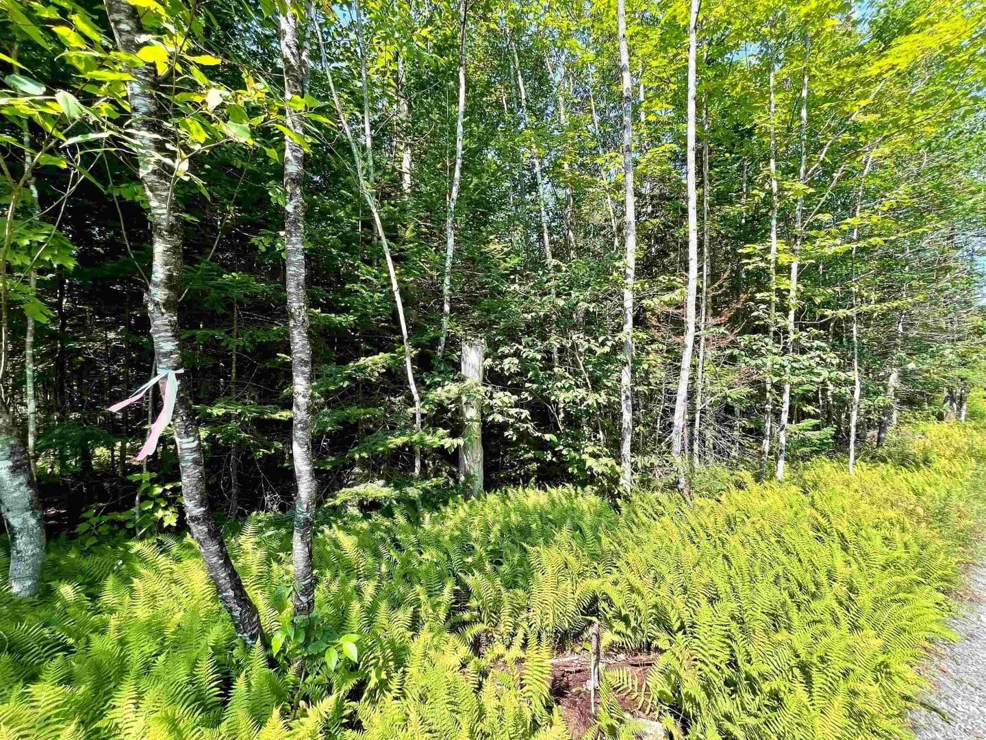 Property from 501 Martins Pond Lane - KW - Peacham, Vermont, 5862