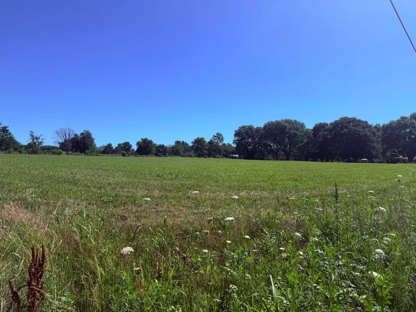 1.17 Acres of Land for Sale in Dadeville, MO - Dadeville, Missouri, 65635