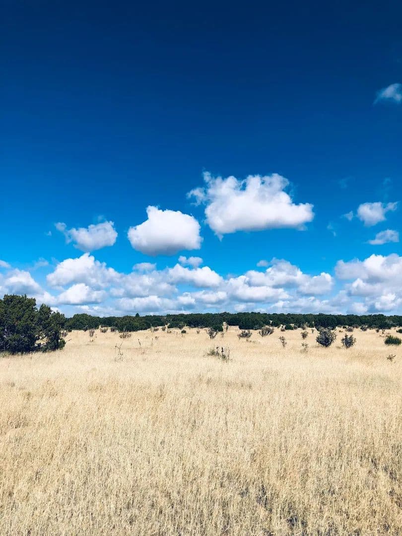 Property from Mission Hills Lot 10 - KW - Estancia, New Mexico, 87016