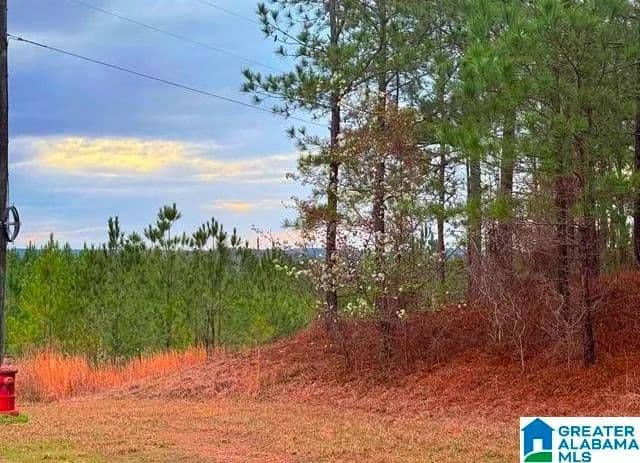 11.82 Acres of Land for Sale in Sylacauga, Alabama - Sylacauga, Alabama, 35151