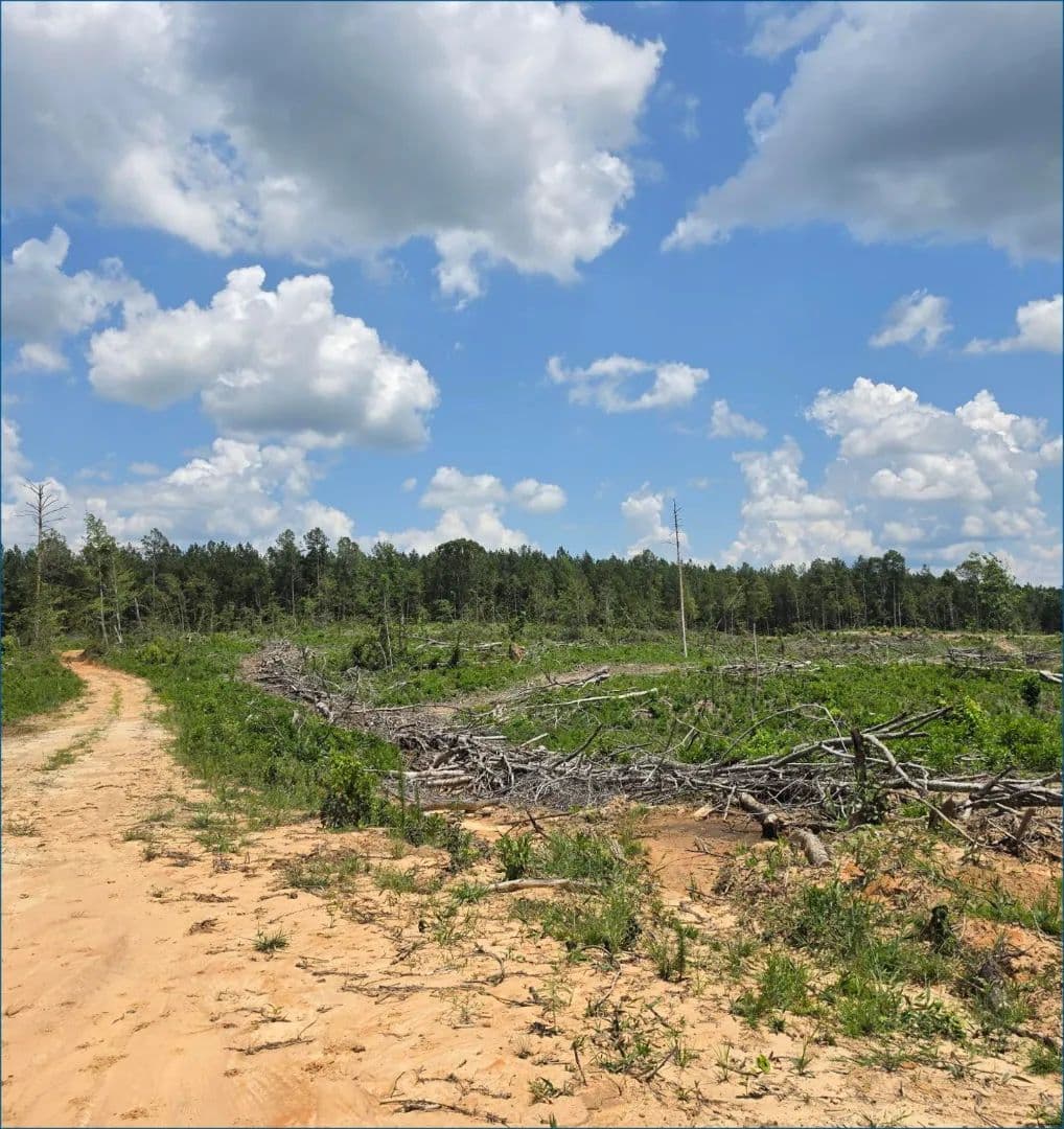 80 Acres in Choctaw County in Ackerman, MS - Ackerman, Mississippi, 39735